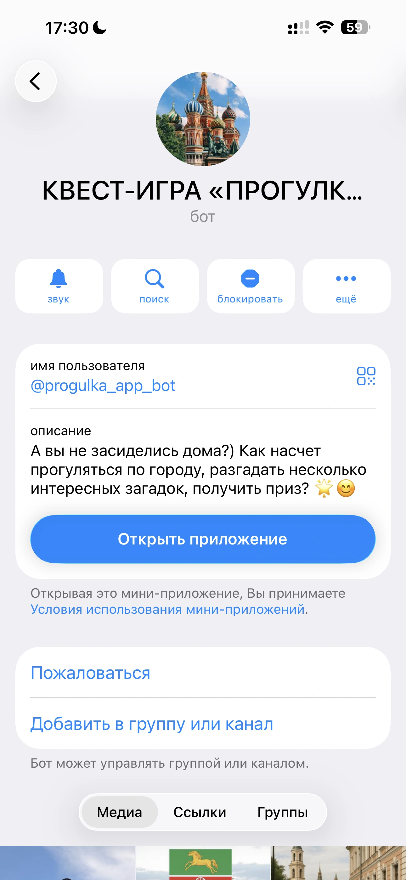 Информация о Telegram-боте и кнопка открытия приложения
